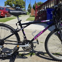 GT Mountain Bike 24"Tires 
Araya Wheels 