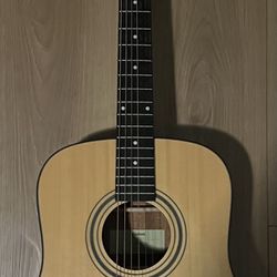 Donner  Acoustic Guitar Brand New *with Case*