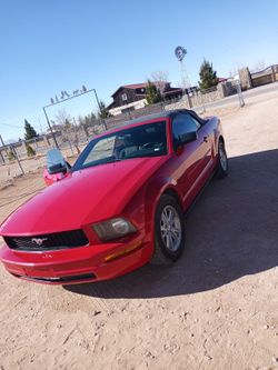 Red Mustang 2007