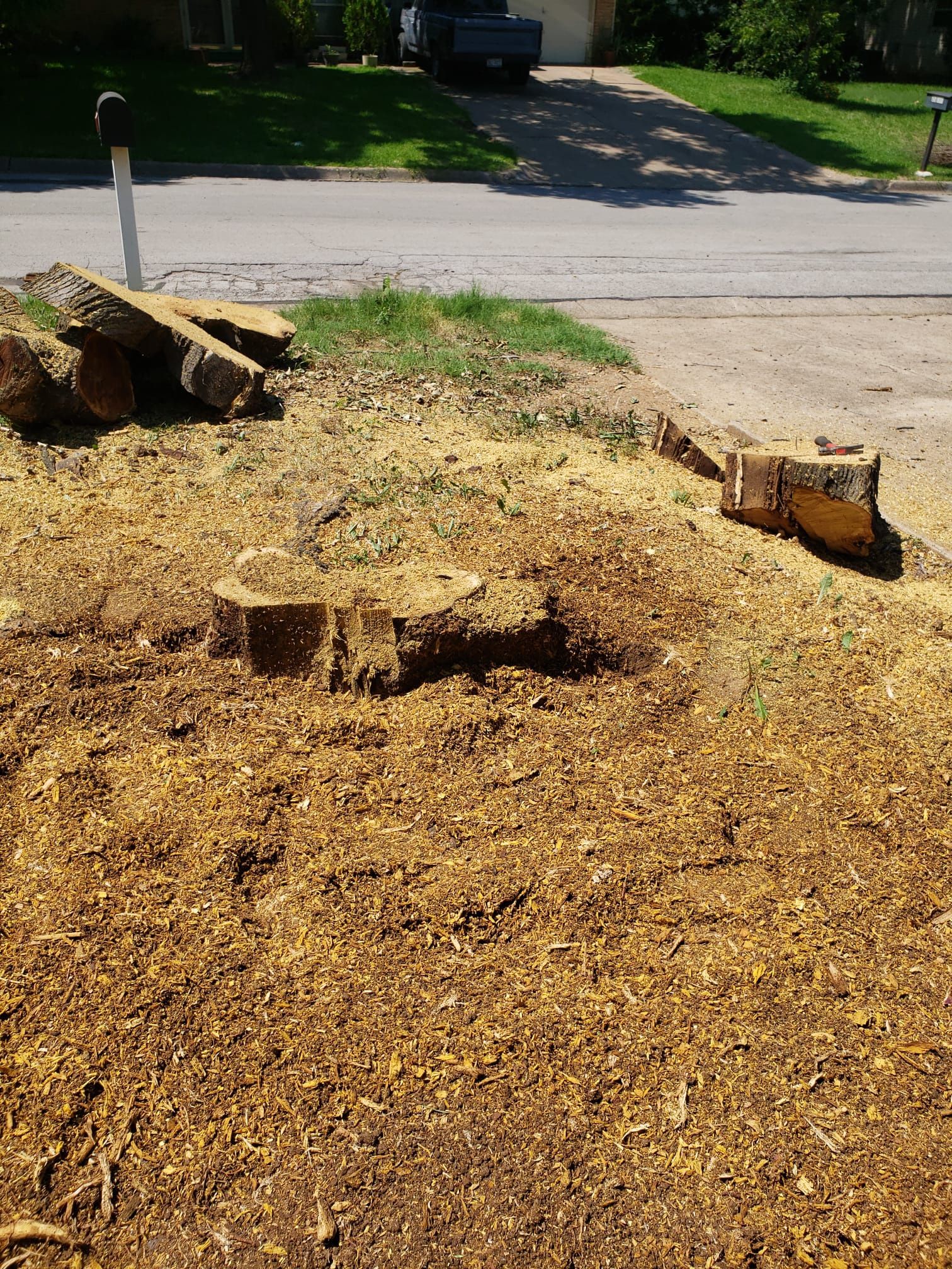 Stump Grinding 