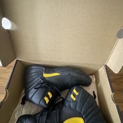 Air Jordan 12 Retro Black Taxi 