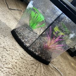 2.5 Gallon fish tank
