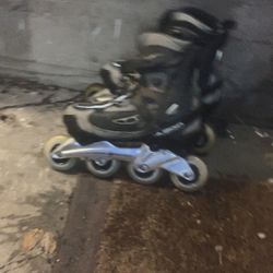 Roller Skates 
