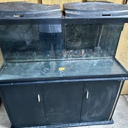Aquarium Fish Tank 55 Gallons 
