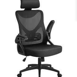 Computer Chair & Desk