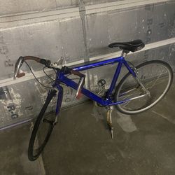 Adult Bike 