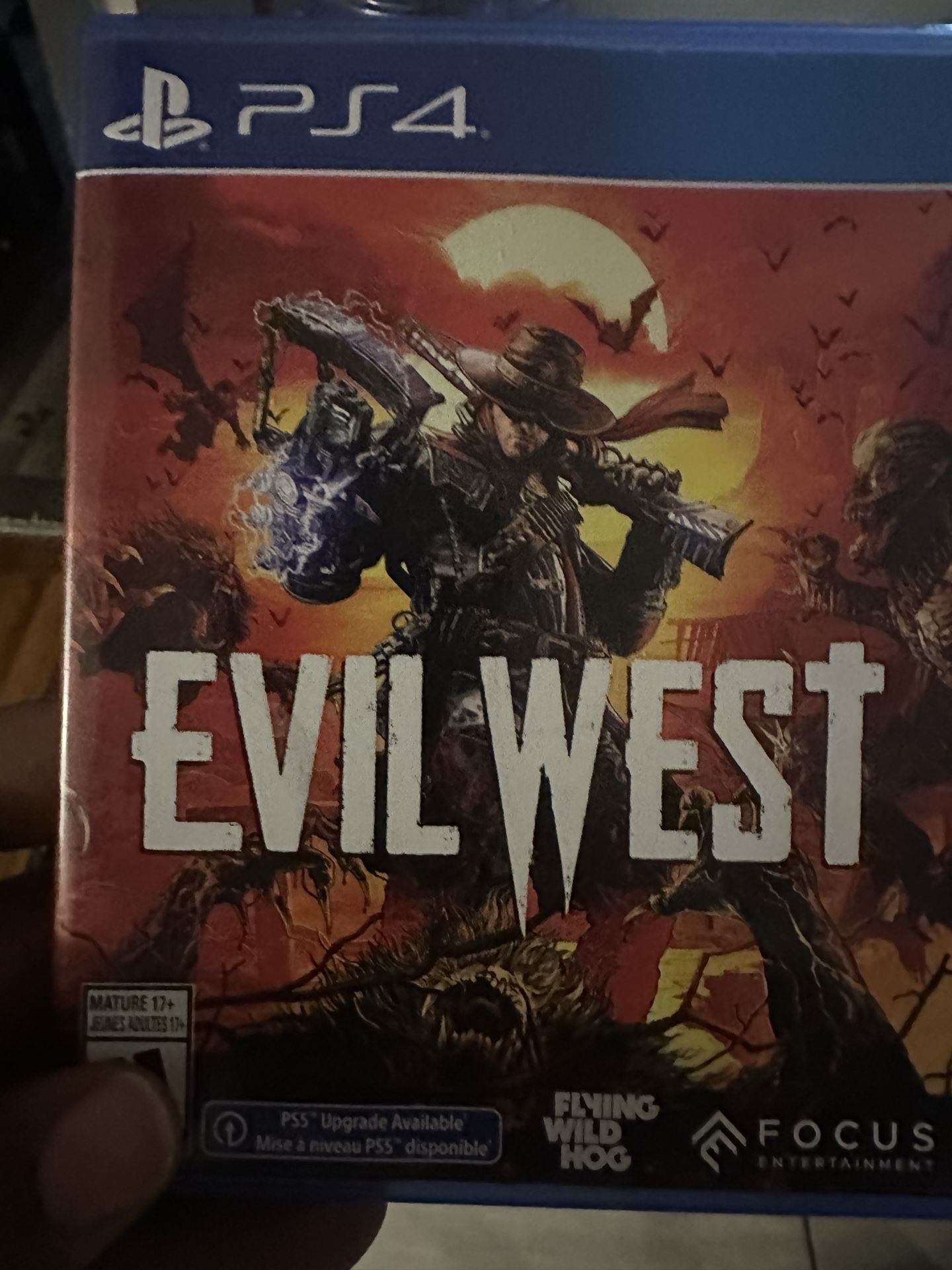 PS4 Game