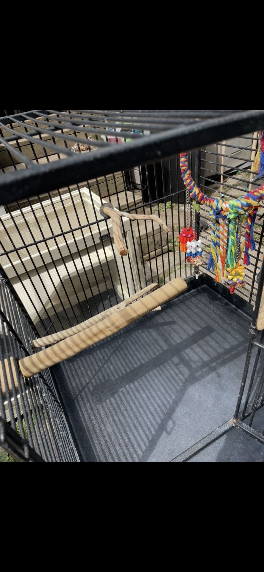Bird Cage