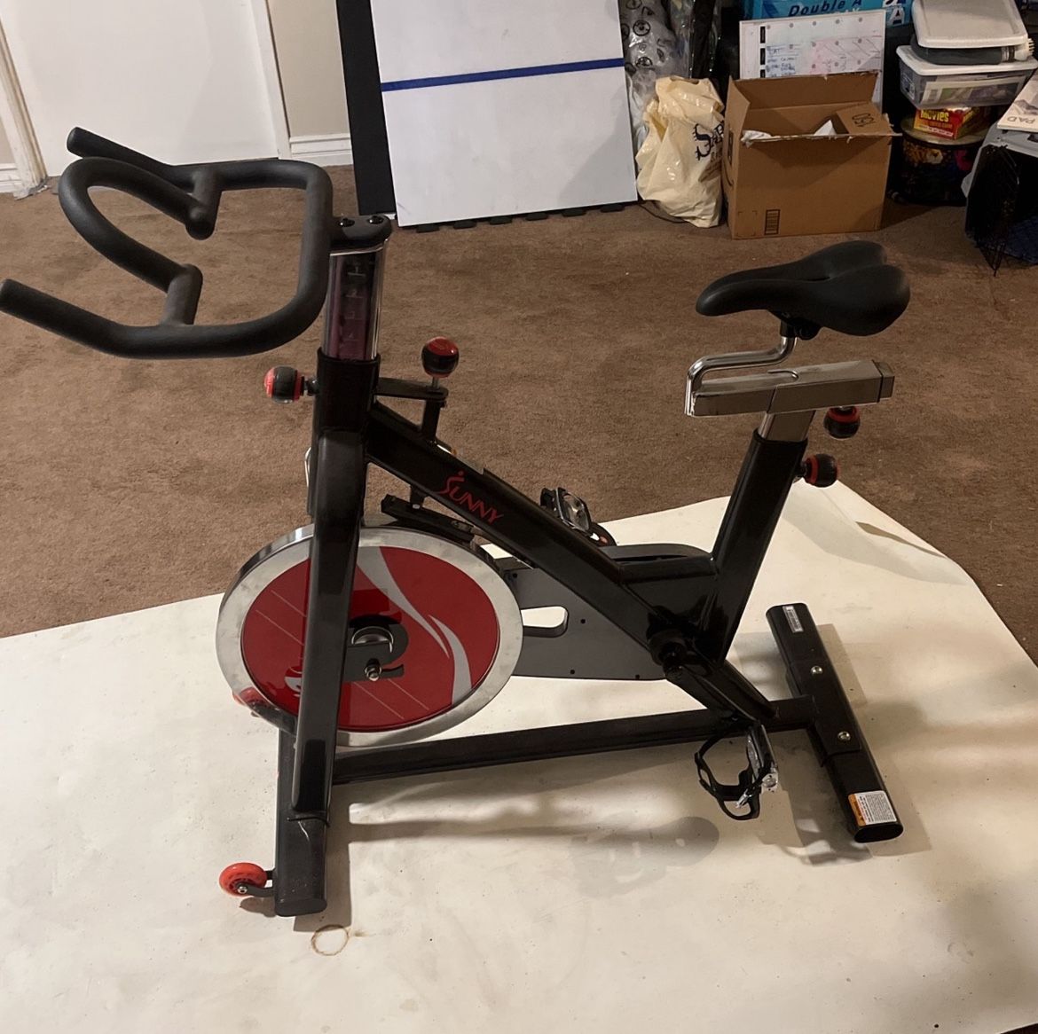 Sunny Exercise Bike
