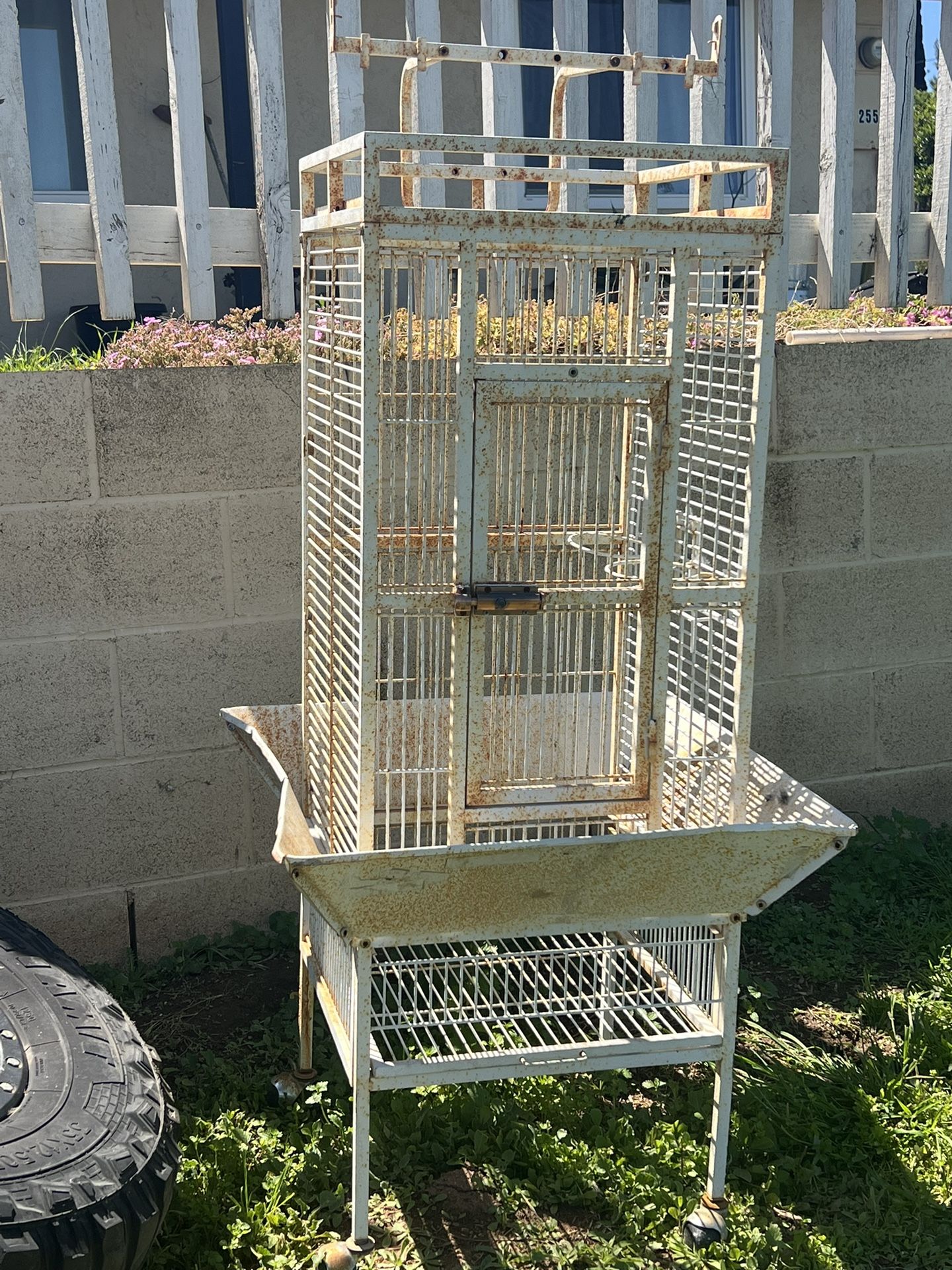 Metal Bird Cage 