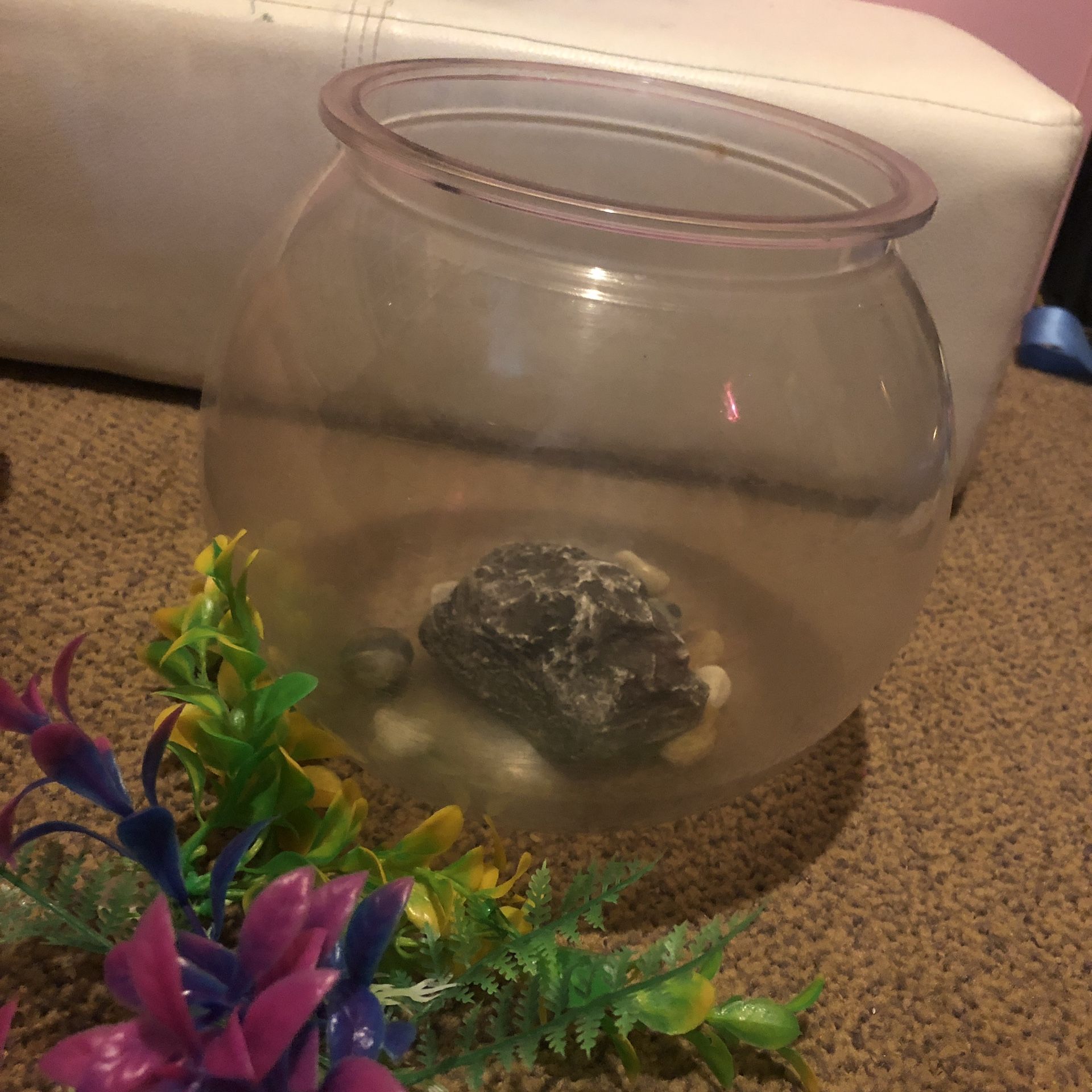 Plastic fish bowl tank 1.5 gal