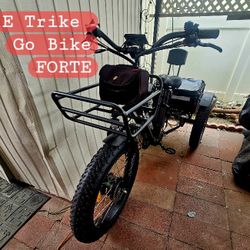 ELECTRIC TRIKE FORTE BY GO BIKES