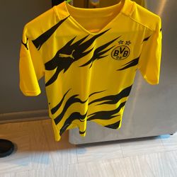Puma BVB 09 Jersey