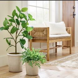 Studio McGee Large And Small Planter Pot