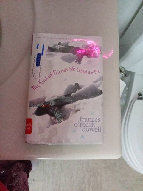 The Kind Of Friends We Used To Be By Frances O'Roark DoWell