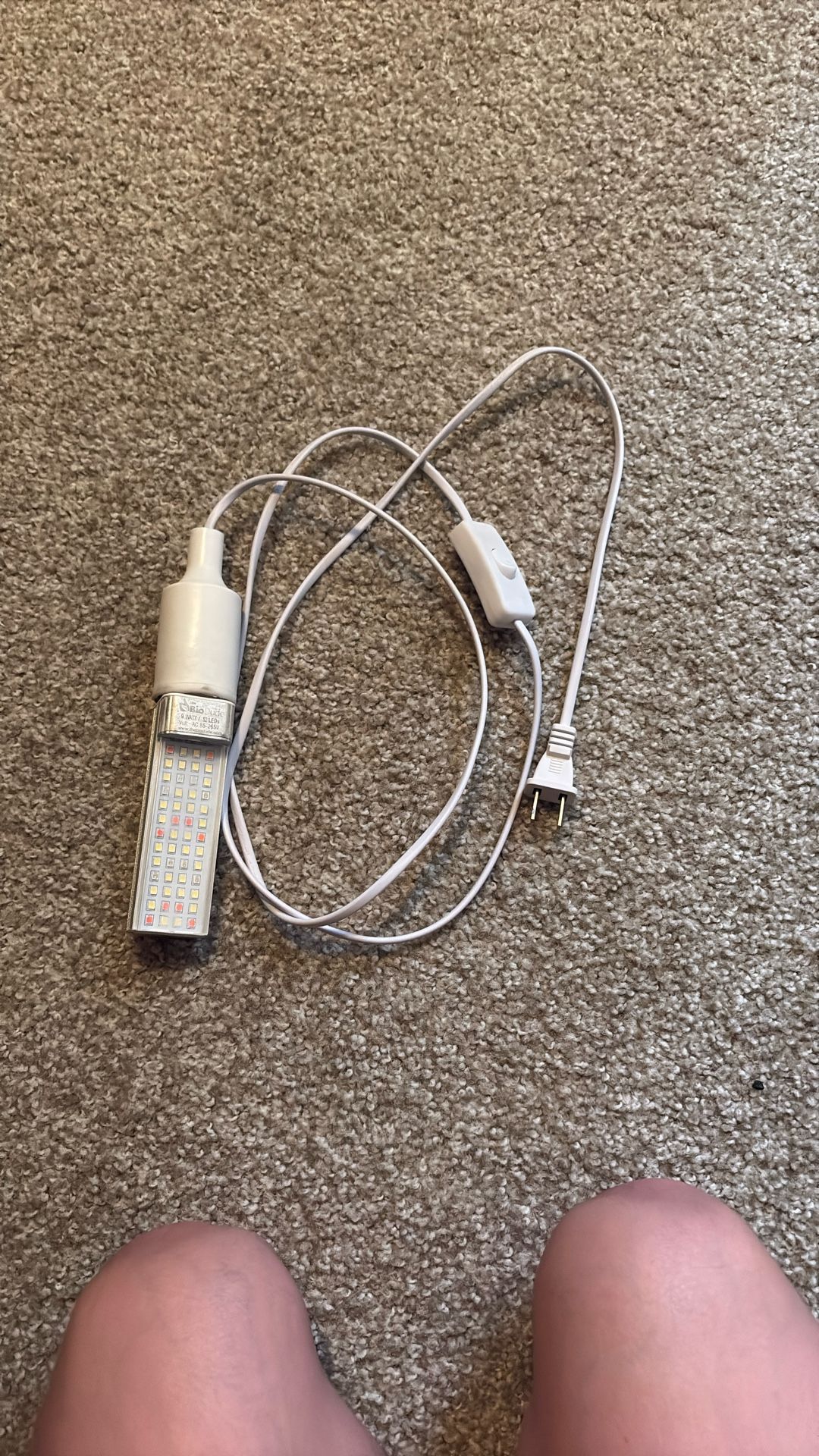 Bio Dude 9 Watt Reptile Light