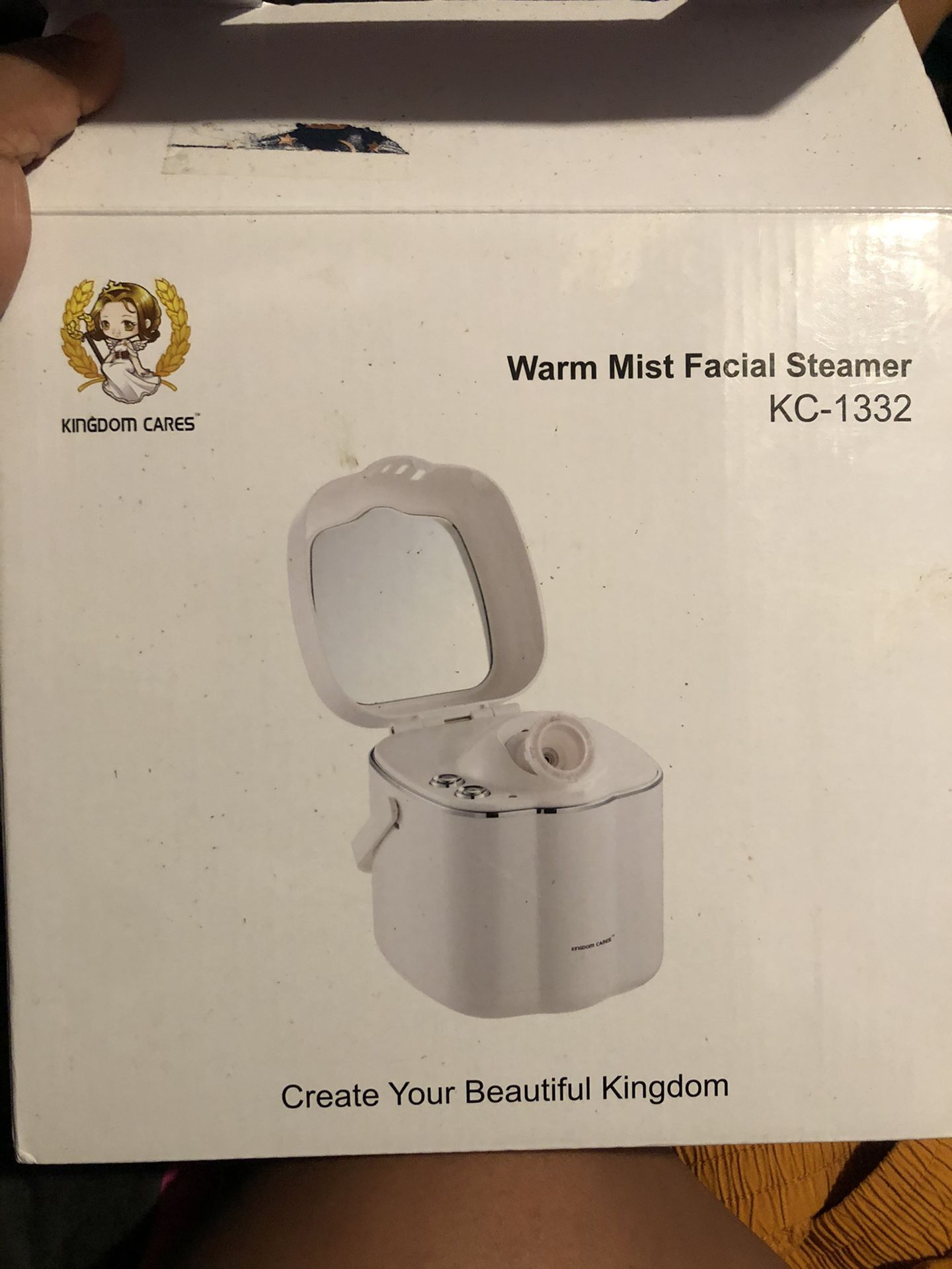 Warm mist facial steamer