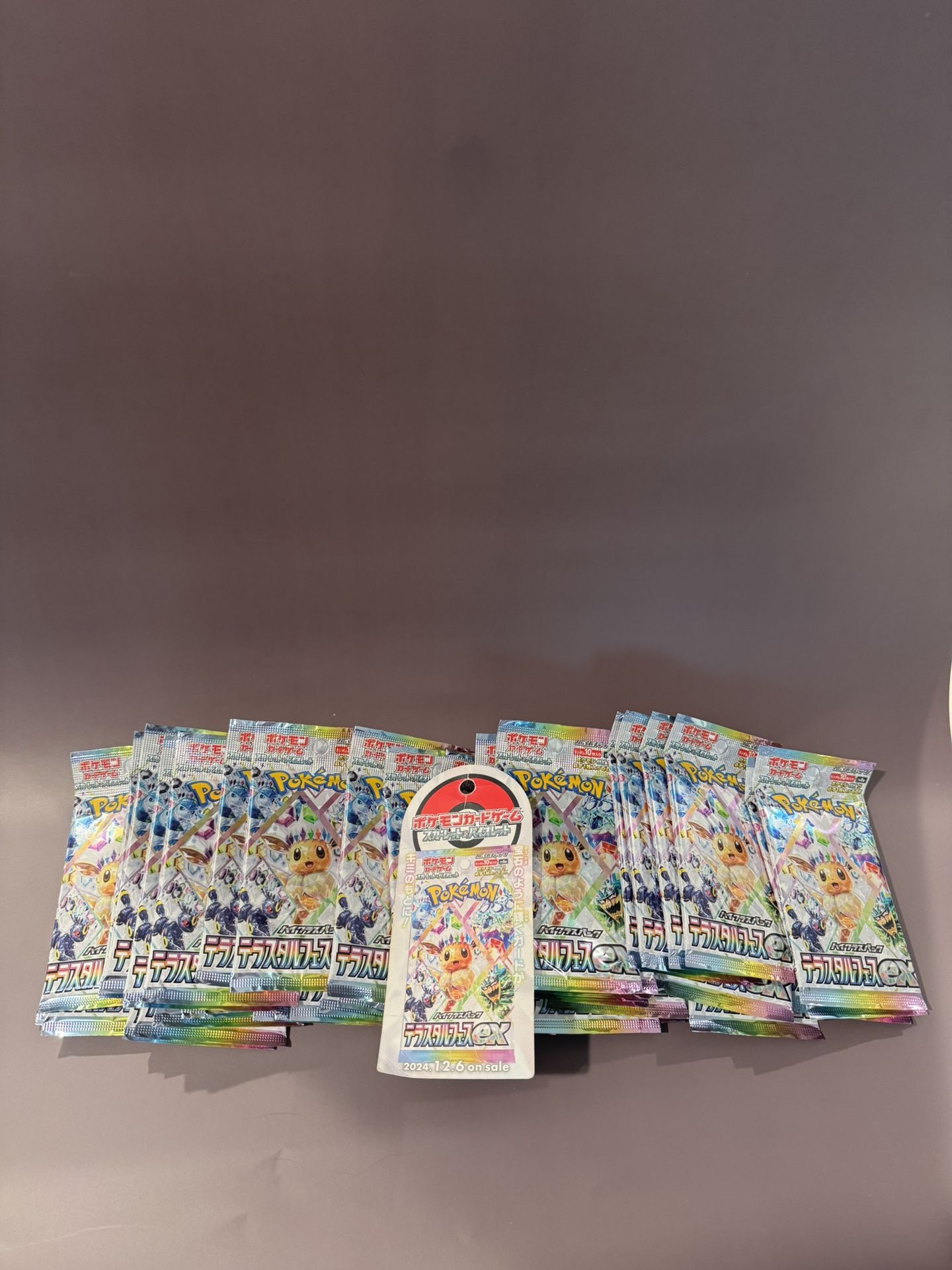 Pokemon Terastal Festival