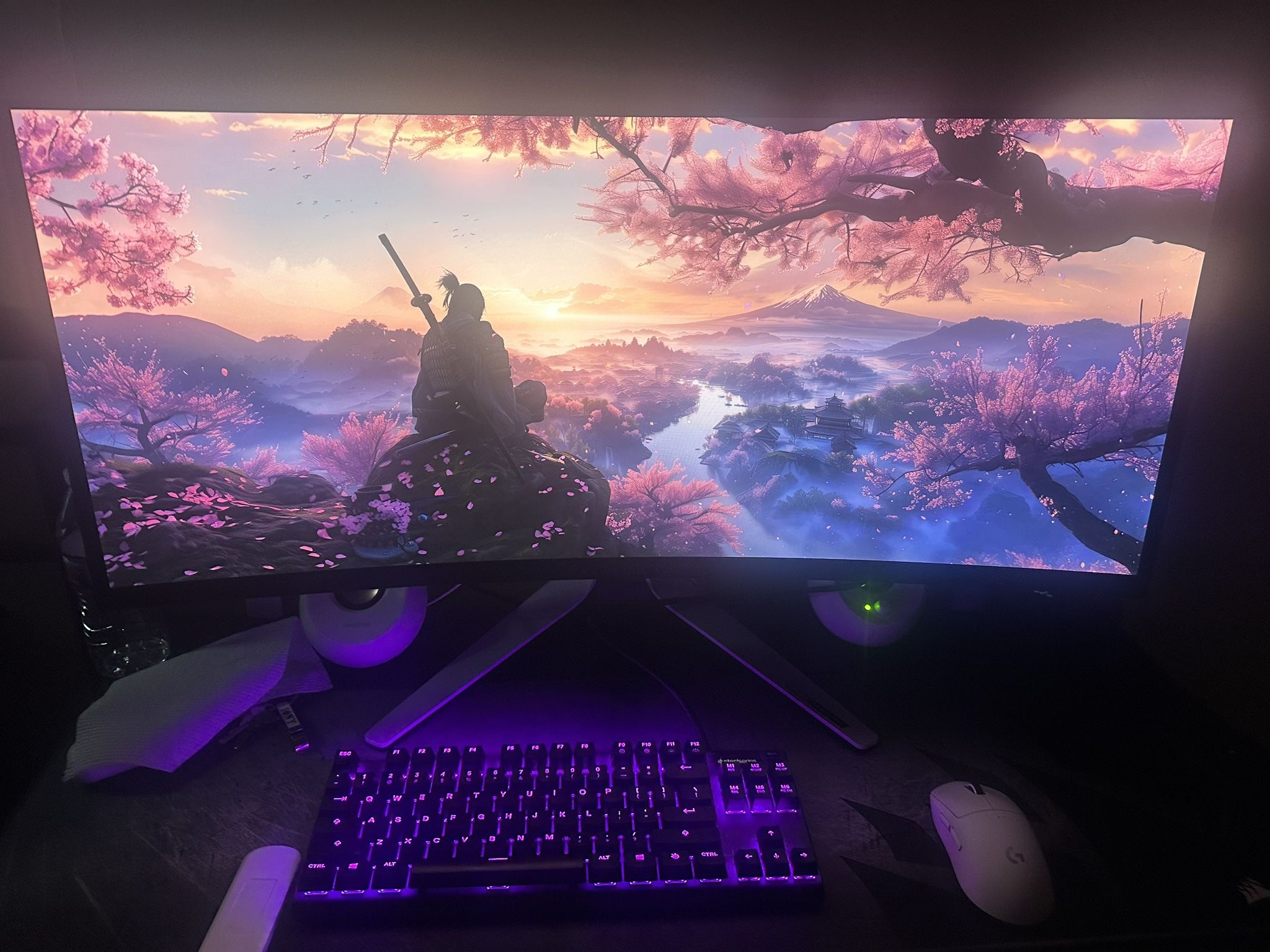 HIGH-END Gaming setup