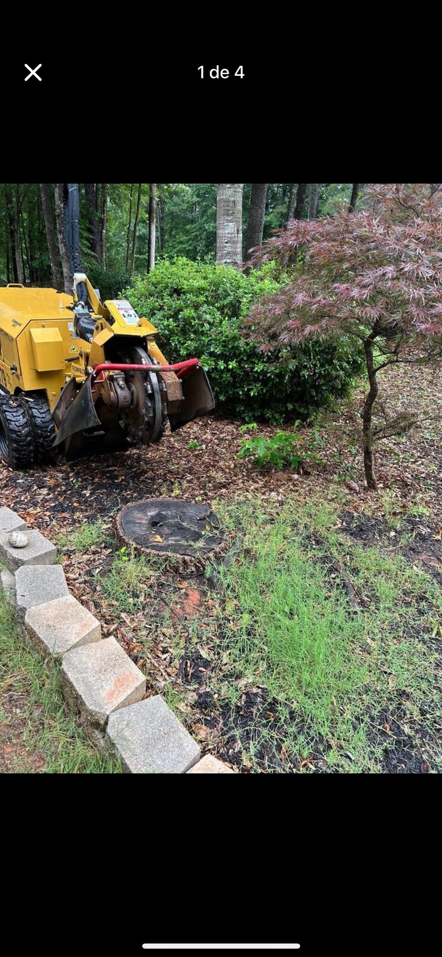 STUMP GRINDING