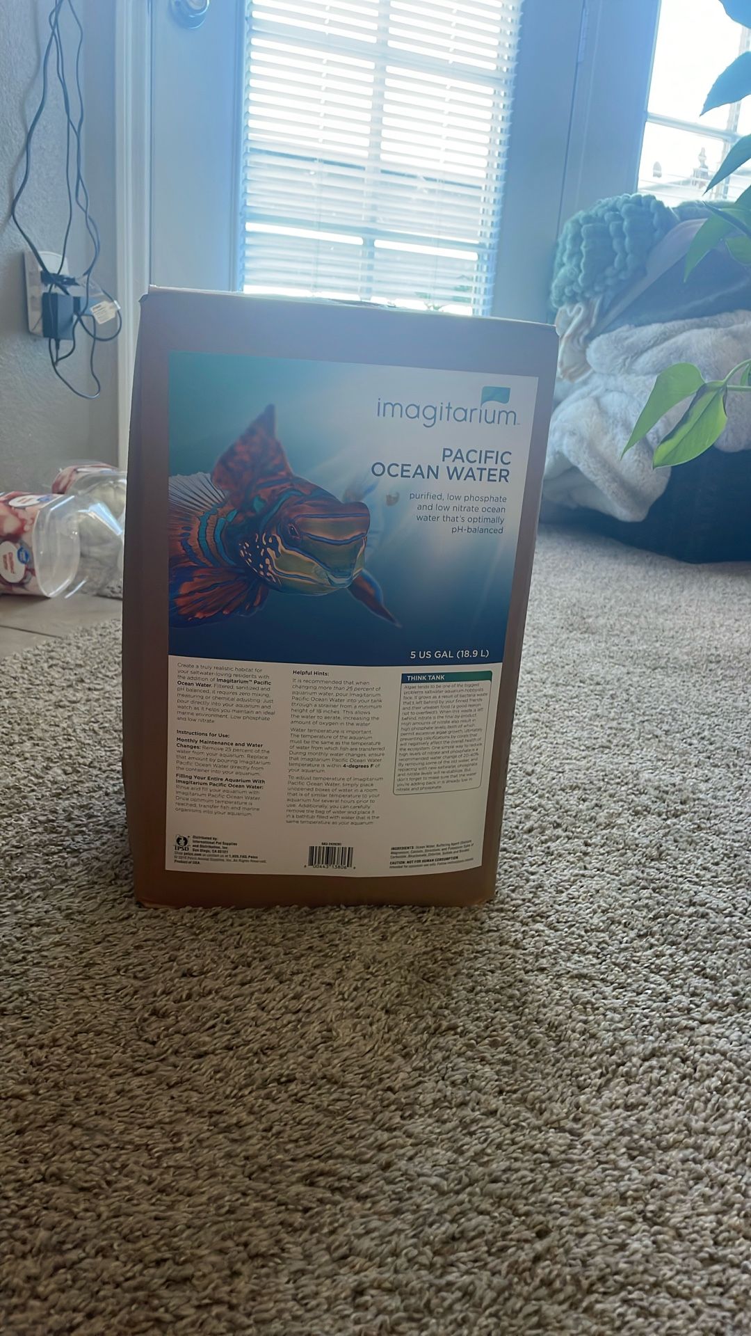 Aquarium Water