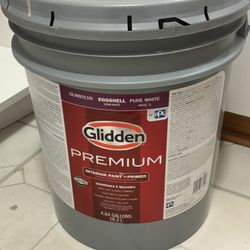 Paint
