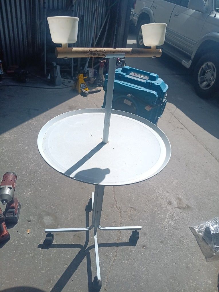 Bird Stand