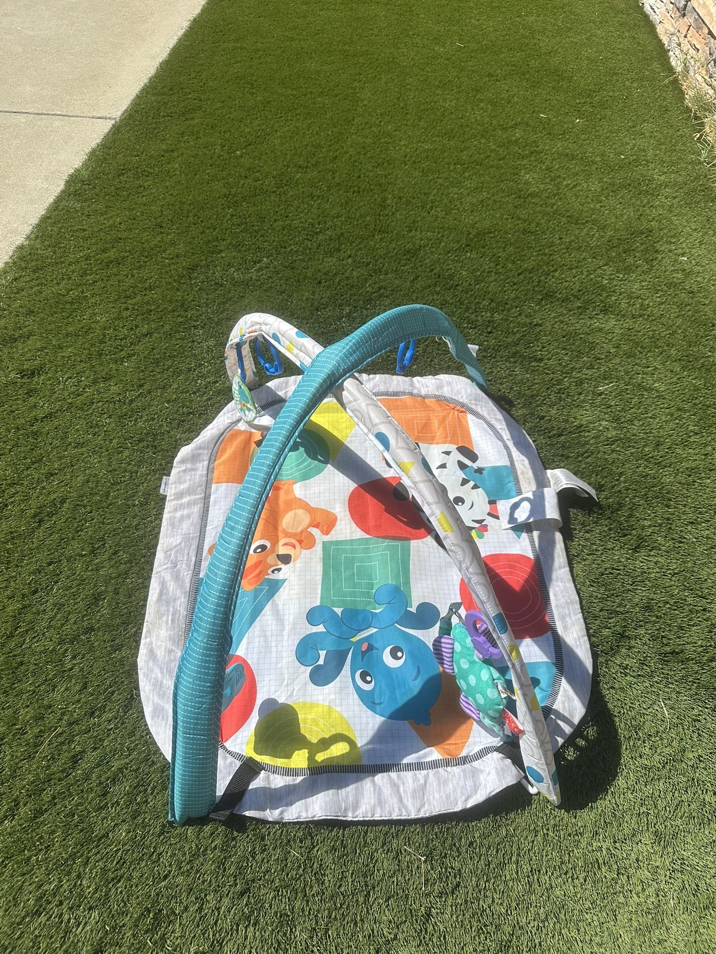 Play Mat (Foldable)