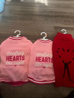 New Dog Clothes