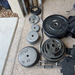 Miscellaneous Weights and Curl Bars