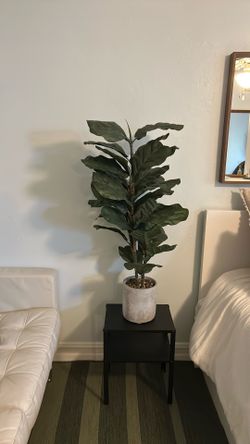 Plant