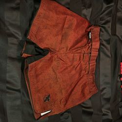 HAYABUSA MMA SHORTS
