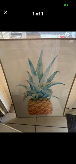 Pineapple frame 35 long 24 wide