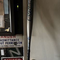 Easton Synergy Softball Bat