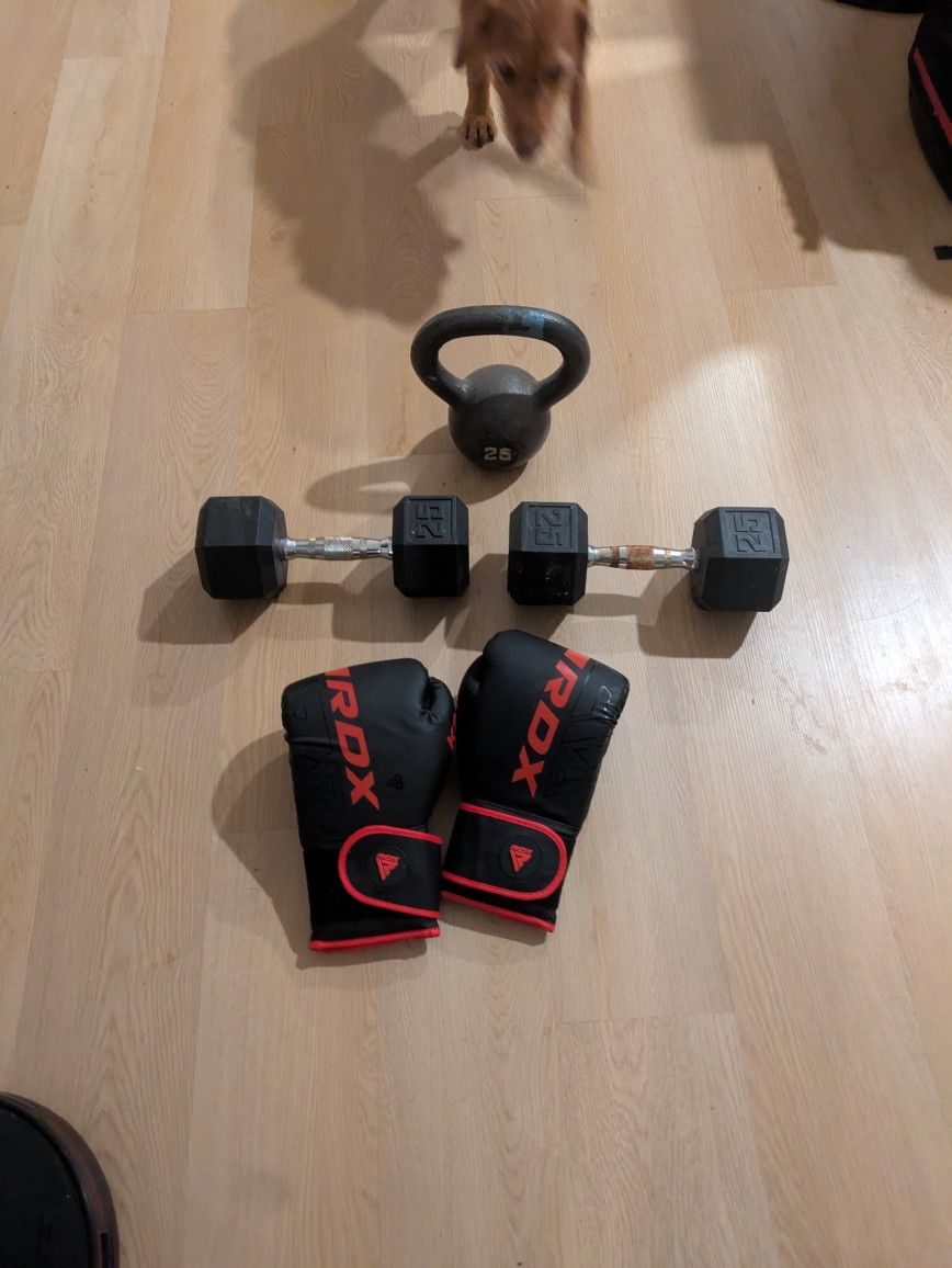 Gym Set Dumbbells Boxing Kettlebell