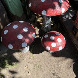 Set De Hongos De Cemento