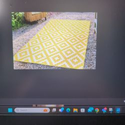 Indoor Outdoor Rug