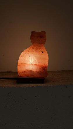 Himalayan salt cat Lamp