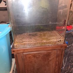 35 Gallon Fish Tank