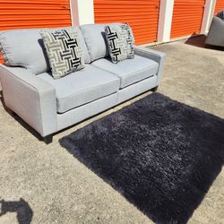 Grey Couch & Rug (delivery available)