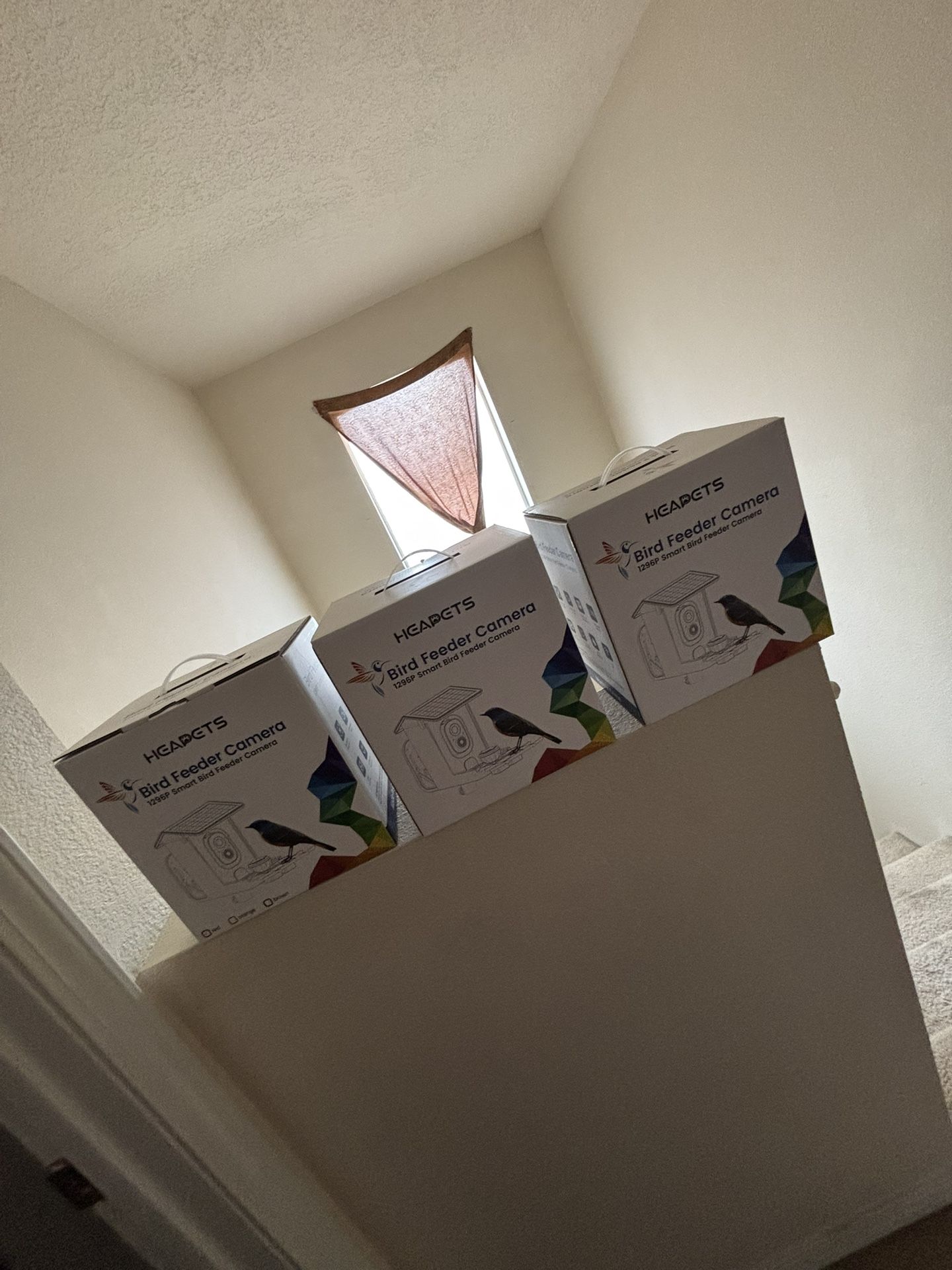 Bird Feeder With Camera