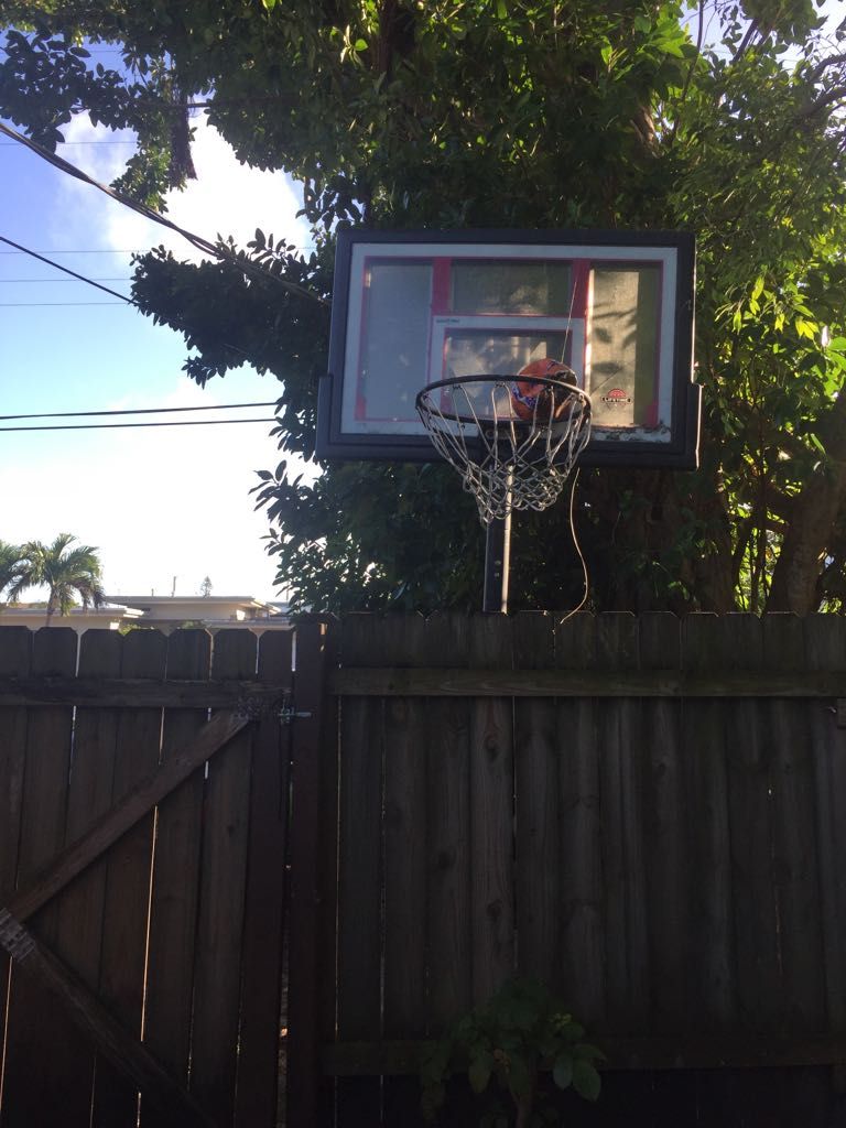 Lifetime basketball hoop black