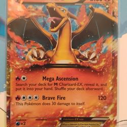 Charizard EX - XY17 - XY Promos (PR)
