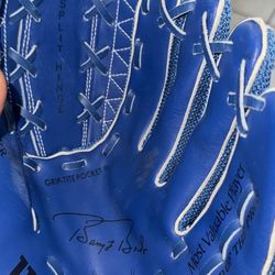 Autograph baseball glove