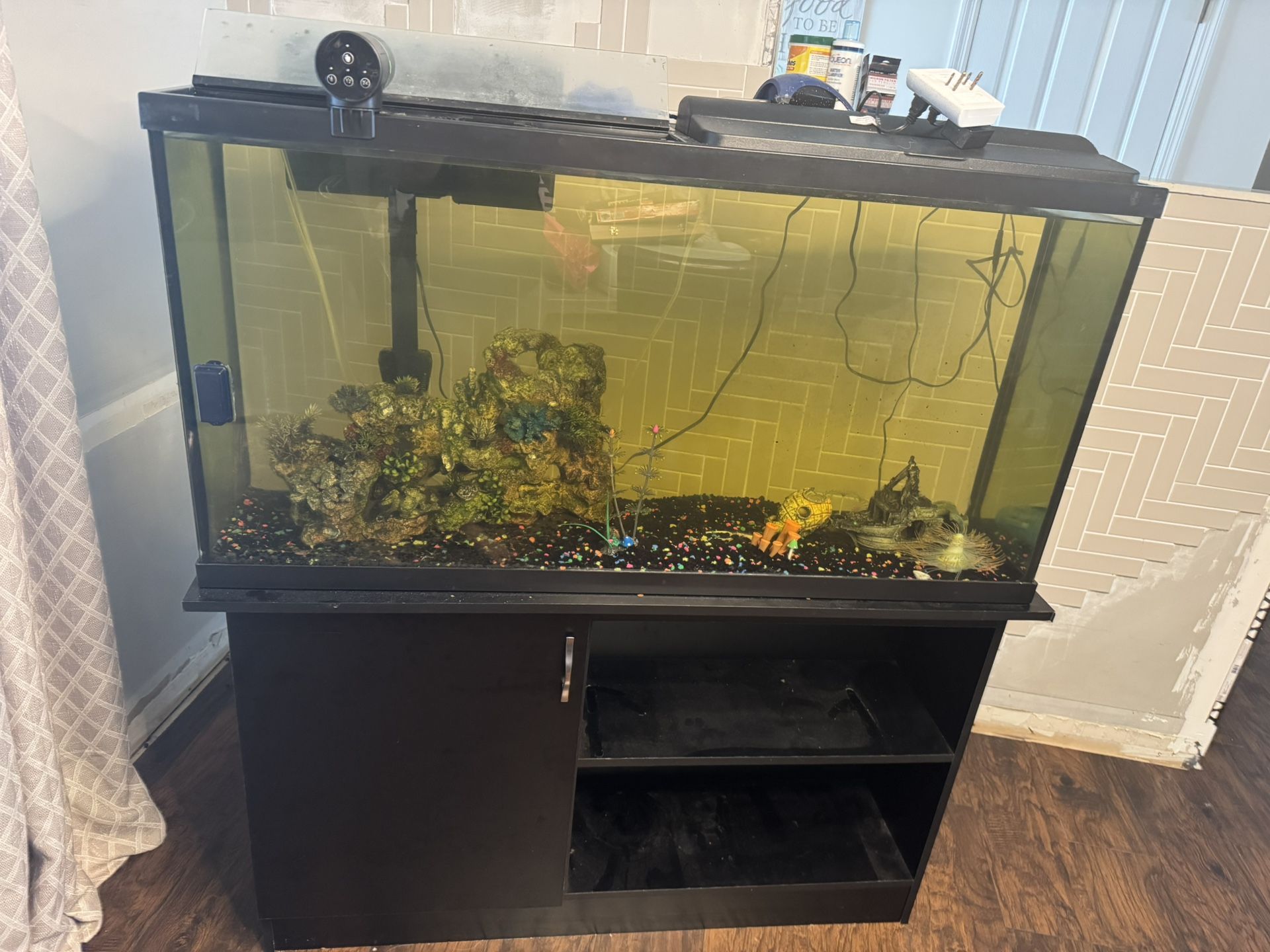 50 Gallon Fish Tank & 4 Fish