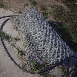 Fence 