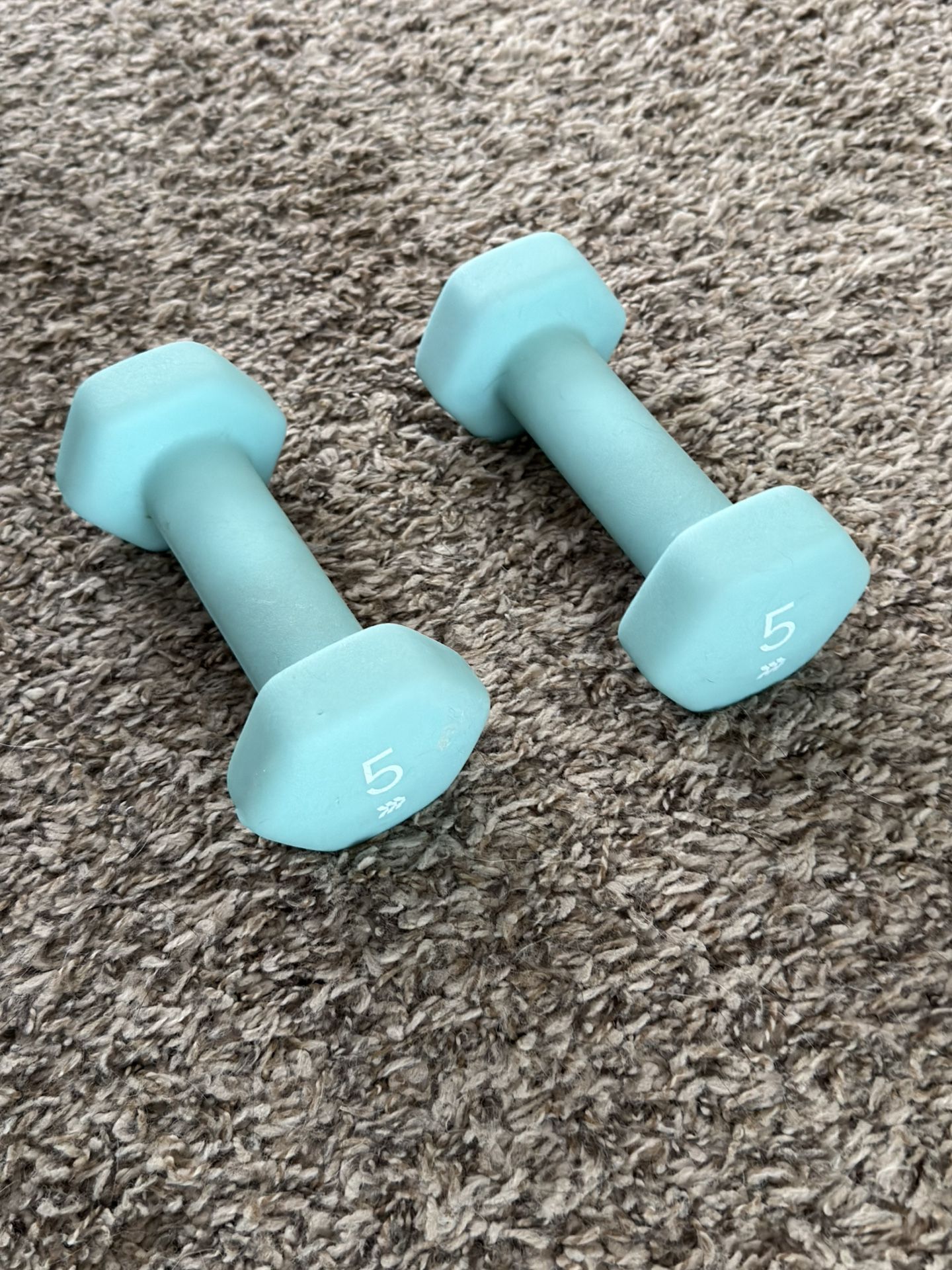 Pair of 5 lb Dumbbells – Light Blue Neoprene