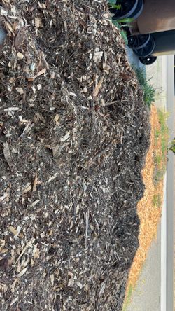 FREE wood-chip mulch – you haul