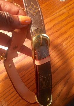 LV Louis Vutton Dog collar