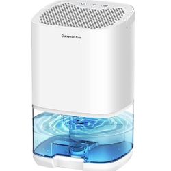 Small Dehumidifier For Bedroom 